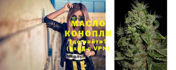 хмурый Дмитровск