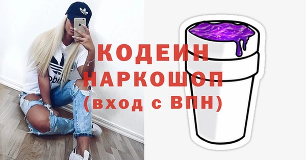 хмурый Дмитровск