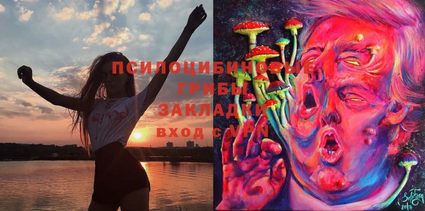 хмурый Дмитровск