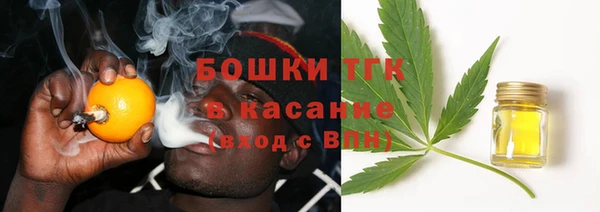 хмурый Дмитровск