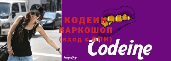 первитин Дмитриев