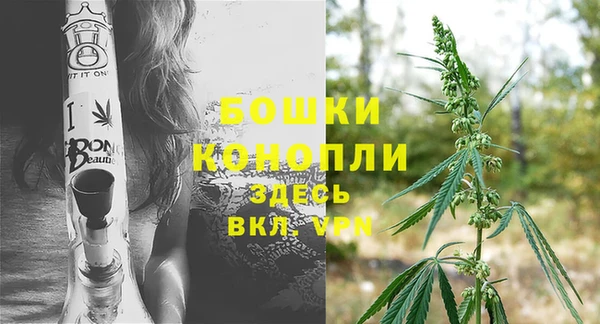 ешки Дмитров