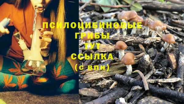 первитин Дмитриев